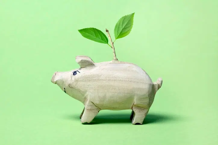 How to Build a Sustainable Portfolio